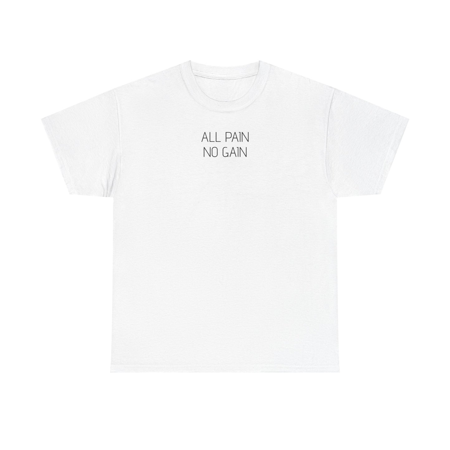 Unisex Heavy Cotton Gym T-Shirt - All Pain No Gain